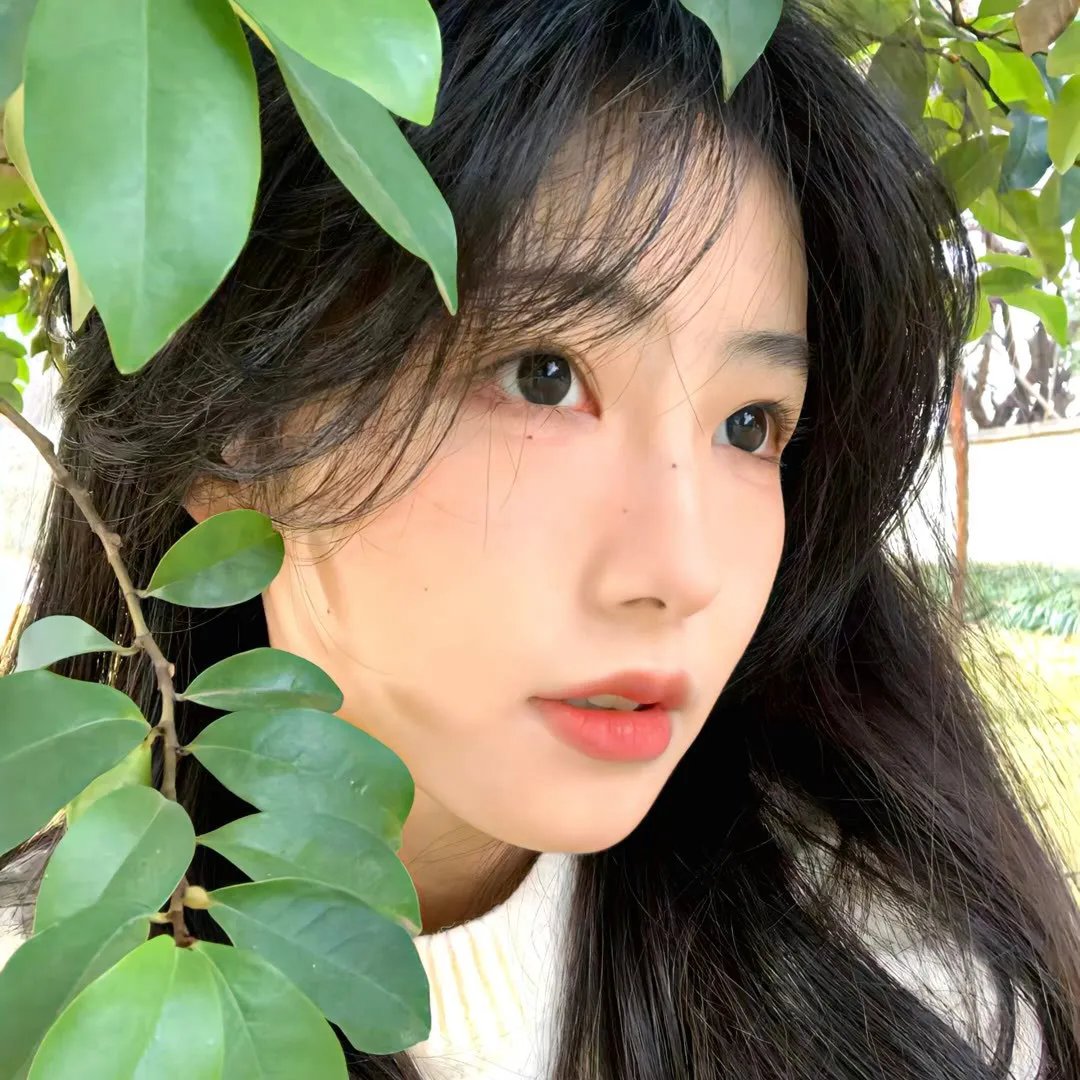 碧血情仇